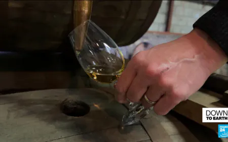 To peat, or not to peat? Scotch whisky's iconic ingredient at heart of climate concerns