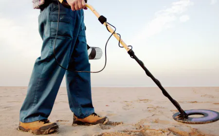 How Do Metal Detectors Work?