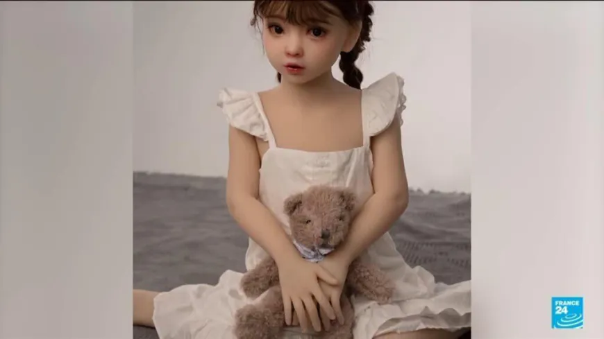 French fraud watchdog reports Shein for 'childlike' sex dolls