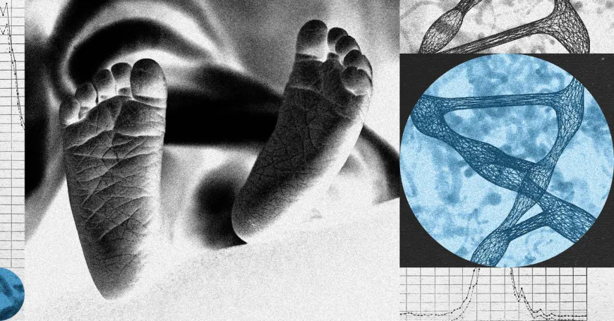 A New Startup Wants to Edit Human Embryos