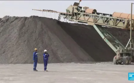 Niger puts Somair uranium up for international sale
