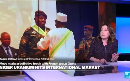 Niger uranium hits international market
