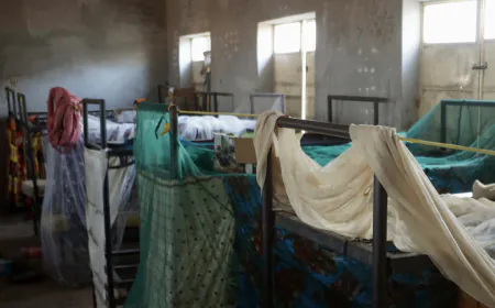 Violence Is Driving Catastrophic Hunger in Nigeria, U.N. Report Says