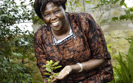 From 2011: Wangari Maathai, Nobel Peace Prize Laureate, Dies at 71