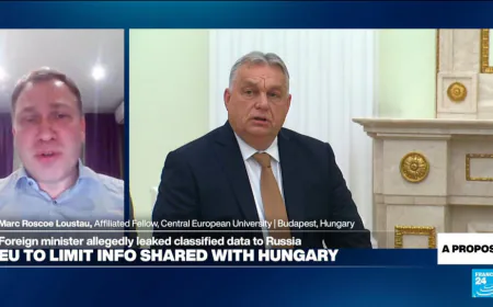 Hungary is 'the Kremlin's biggest agent in the EU', analyst says