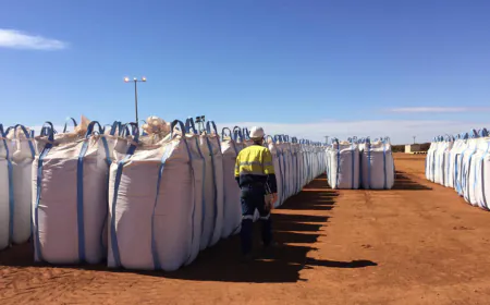 France is 'more and more keen' on Australia critical minerals investment, minister says