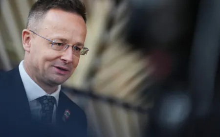 Hungarian FM says reports he passed information to Russia are 'foreign interference'