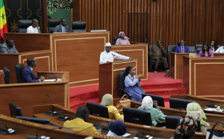 Senegal signs law doubling penalty for same-sex relations to 10 years in jail