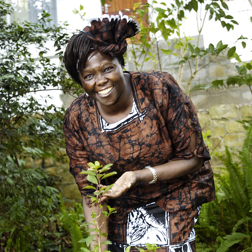 From 2011: Wangari Maathai, Nobel Peace Prize Laureate, Dies at 71