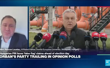 'Vladimir Putin absolutely nervous' about Hungary's election, expert says