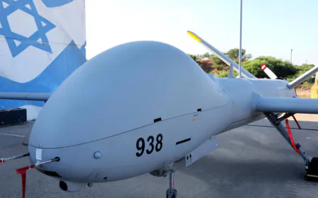 French arms exports to Israel ‘a continuous pipeline of military hardware’