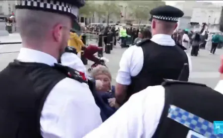Pro-Palestinian rally in London: Over 500 arrested
