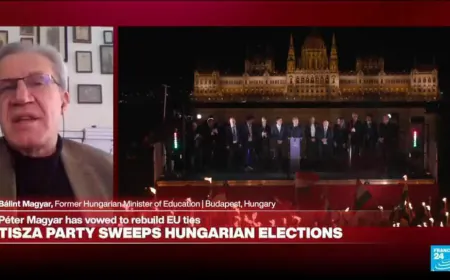 Magyar built 'wide popular movement: 43% liberal, 22% left-wing, 10% green and only 11% right-wing