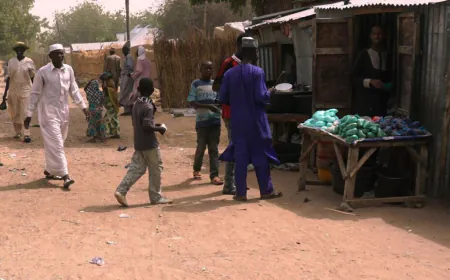 Military air strikes kill dozens of people in northeast Nigeria, Amnesty International says