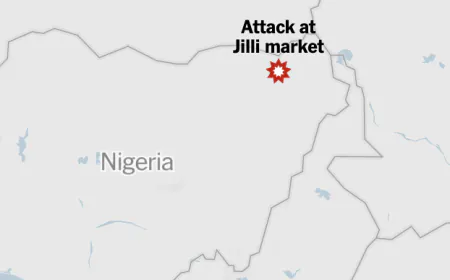 Scores Killed in Nigerian Military Strikes as Clashes With Militants Intensify
