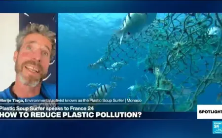 From the oceans into our bodies: Plastic pollution 'associated with obesity and dementia'