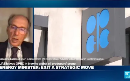 UAE OPEC departure 'a manifestation of dissatisfaction vis à vis Saudi Arabia', expert says