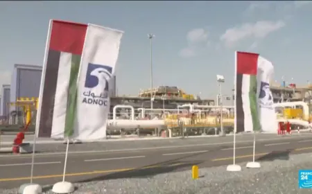 UAE pulls out of OPEC oil cartels citing 'national interests'