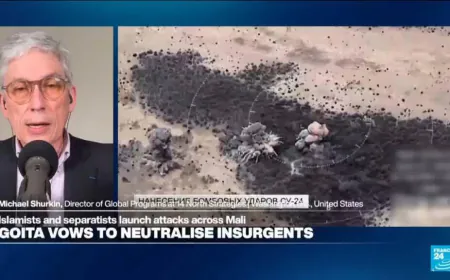 Mali faces 'very high risk' of new coup d'état, analyst says, amid jihadist insurgence