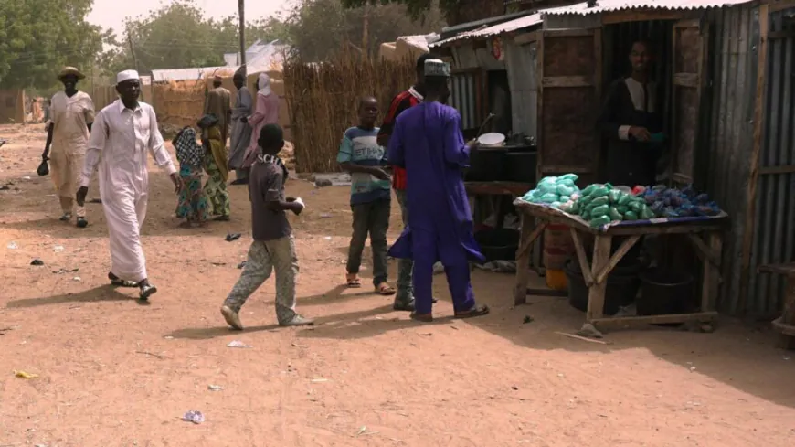 Military air strikes kill dozens of people in northeast Nigeria, Amnesty International says