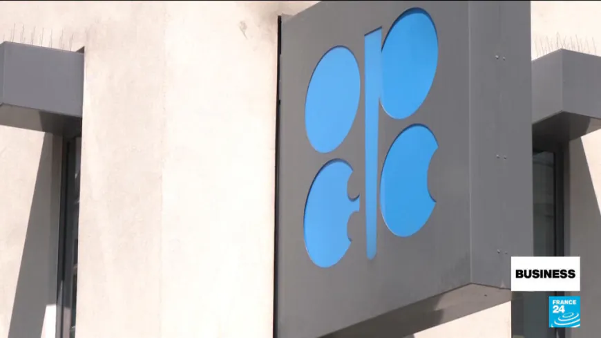 UAE leaves OPEC in blow to oil cartel