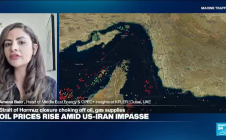 'Tsunami effect': Hormuz blockade impacts global supply chains, developing countries curtail imports