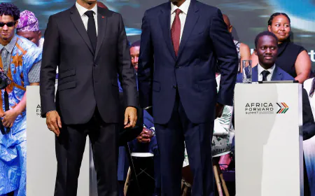 Macron Makes a Bid for New Partners in Africa