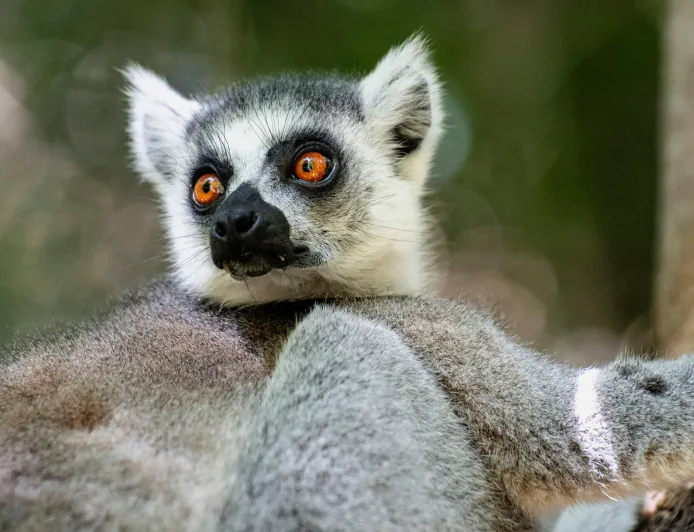 Wild Swimming and Stargazing in Madagascar’s Grand Canyon