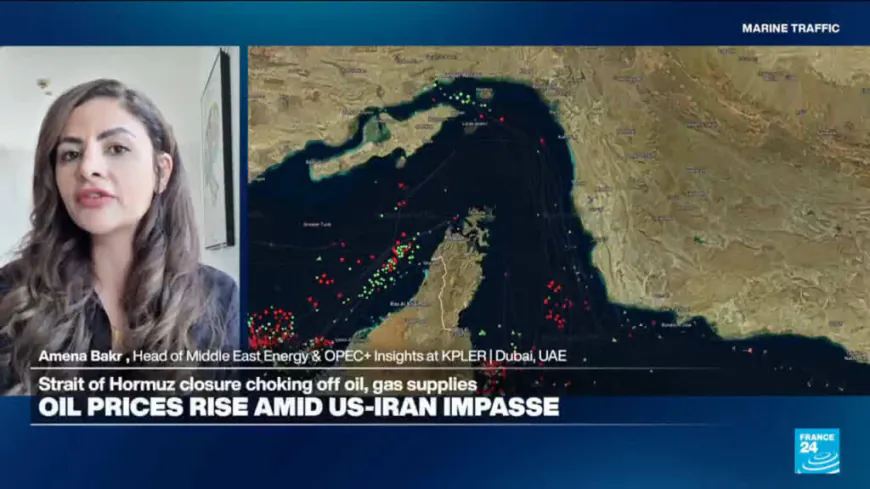 'Tsunami effect': Hormuz blockade impacts global supply chains, developing countries curtail imports