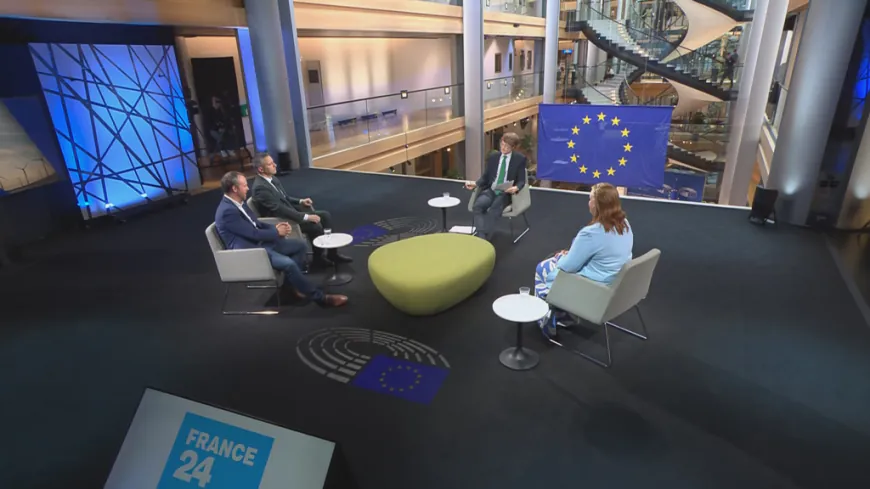Hungary and Bulgaria elections: EU's new ally and new adversary?