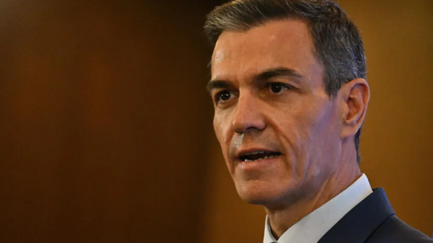 Spanish PM Pedro Sanchez’s plane makes emergency landing in Turkey