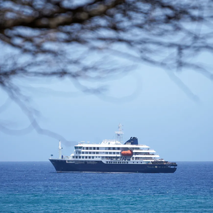 Cruise Ship Struck by Hantavirus Is to Head to Canary Islands, W.H.O. Says