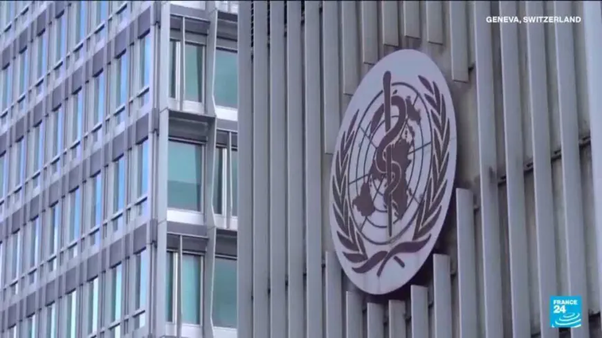 WHO declares emergency as Ebola outbreak kills more than 80 in DR Congo