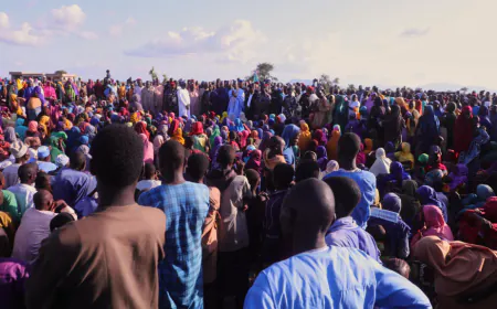 Nigeria: Hundreds of kidnapped women, children freed from Boko Haram jihadists