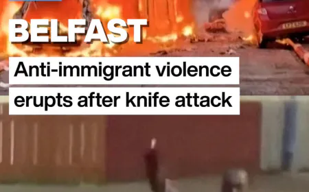 Belfast: Anti-immigrant violence erupts after knife attack
