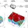 First 3D nanoscale maps of human airway epithelium reveal hidden architecture of lung defense cells