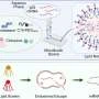 Lipid nanoparticles deliver one-two punch to shrink resistant oral tumors in preclinical models