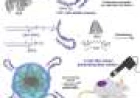 Combined nanoparticle and internal laser method could make cancer therapy less invasive