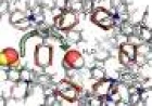 Dynamic 'breathing' in nanopore structures can maximize efficiency of molecule separation and diffusion
