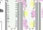 Nanopores can activate human T cells without biochemical signals
