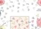 Metal-ion coating improves extracellular vesicles for cancer detection and targeted delivery