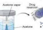 Biodegradable implant can deliver targeted cancer immunotherapy while protecting healthy tissue