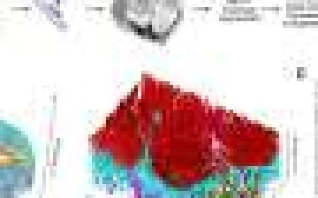 First 3D nanoscale maps of human airway epithelium reveal hidden architecture of lung defense cells