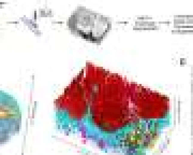 First 3D nanoscale maps of human airway epithelium reveal hidden architecture of lung defense cells