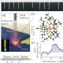 Single molecule becomes quantum sensor for imaging proteins at nanoscale