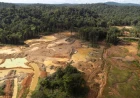 Côte d’Ivoire : deux sites d’orpaillage clandestin démantelés sur les berges de la Bagoué