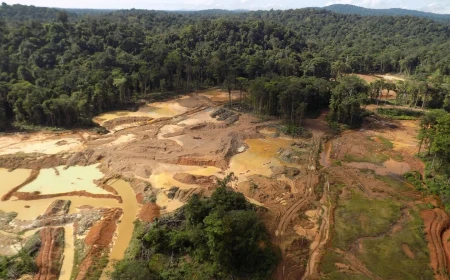 Côte d’Ivoire : deux sites d’orpaillage clandestin démantelés sur les berges de la Bagoué